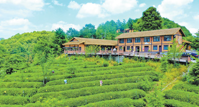 “中国的乡村文化活动越来越丰富、越来越精彩”