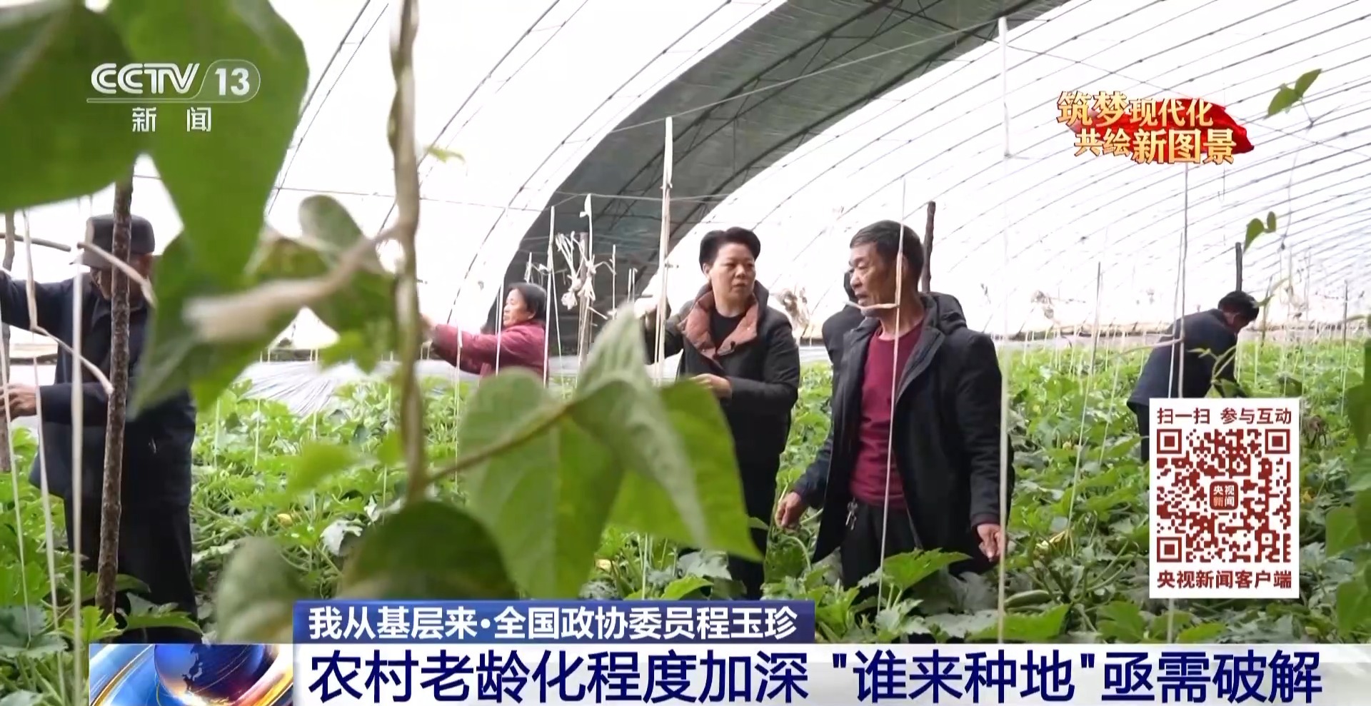 我从基层来丨破解谁来种地难题她带领乡亲们走好小康路