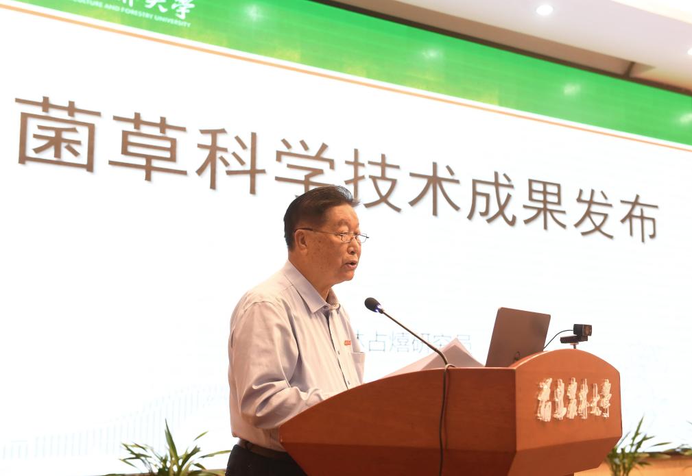 通讯｜造福太平洋岛国的“幸福草”