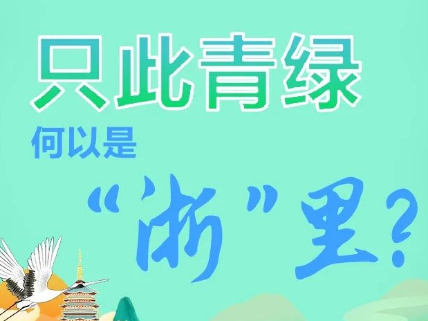 只此青绿，何以是“浙”里？