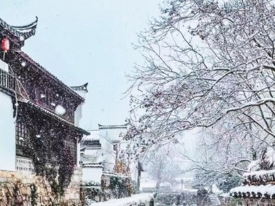 重返查济（行天下）