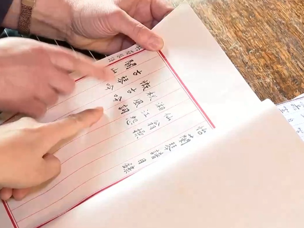 世界看两会丨波兰乐器演奏家安娜：中华文化令我着迷