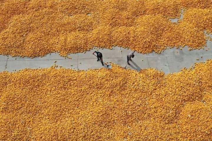 【侠客岛 | 两会观察】加把劲，今年一定会好上加好