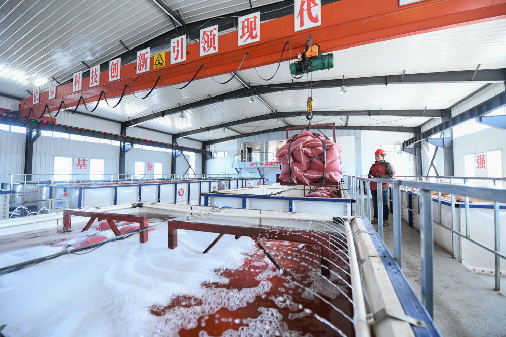 当好国家粮食稳产保供“压舱石”——来自产粮第一大省黑龙江的春耕观察