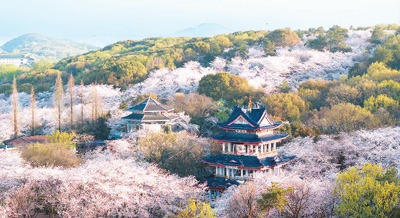 以运河之美 迎全球宾客