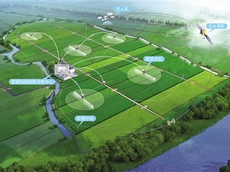 3840亩农田拉满“科技范”（探访）