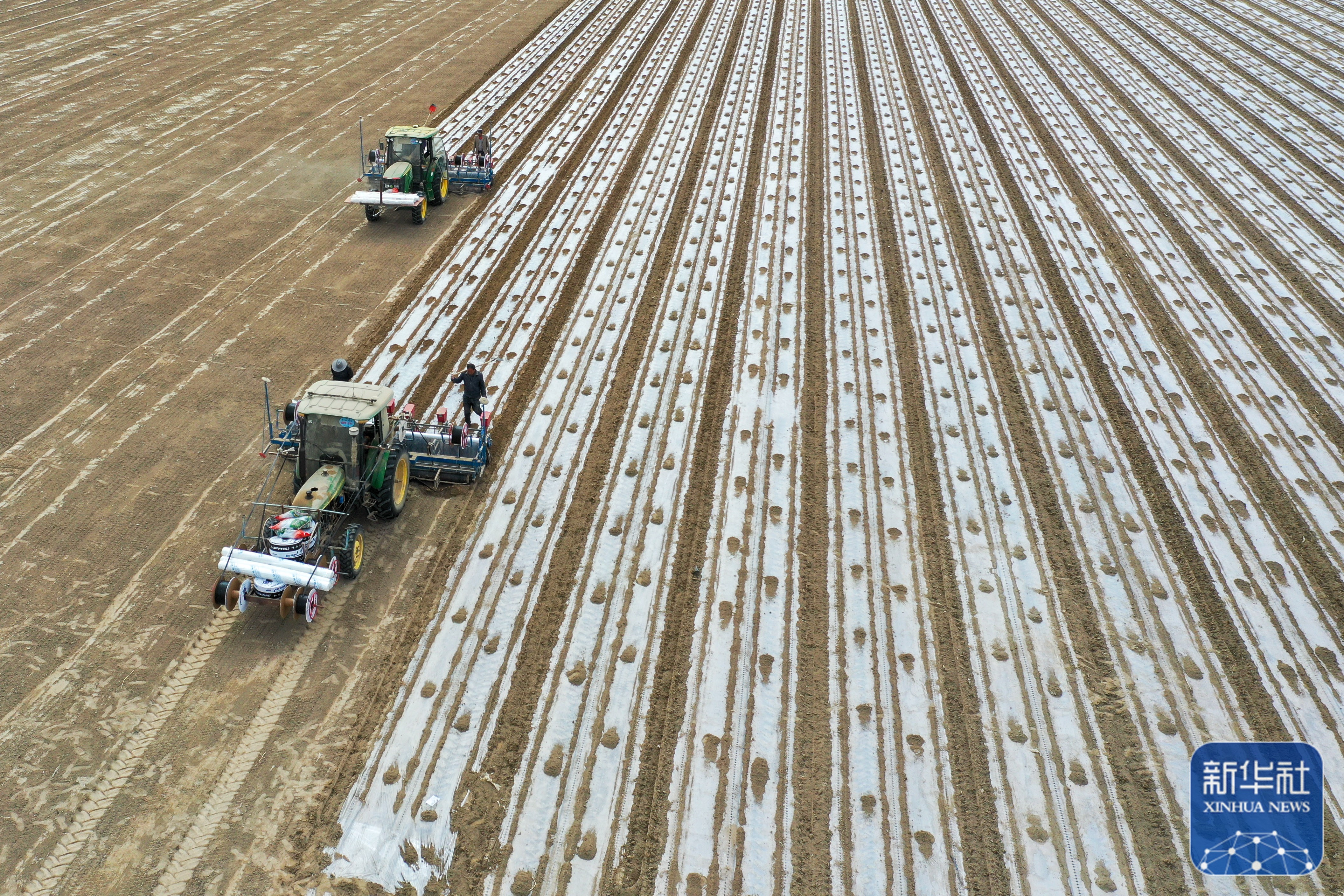 智慧农机打头阵新疆棉花播种大场面又来治愈你了