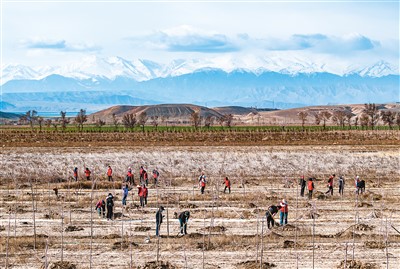 为建设美丽中国增绿添彩