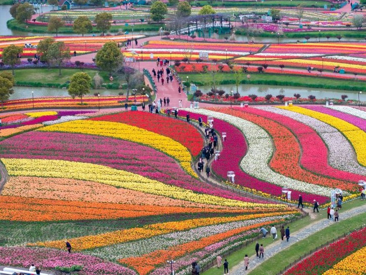 人间四月天 出游享周末