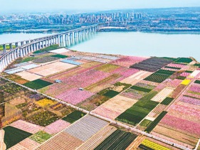 超10万亿元对地方转移支付这样分配