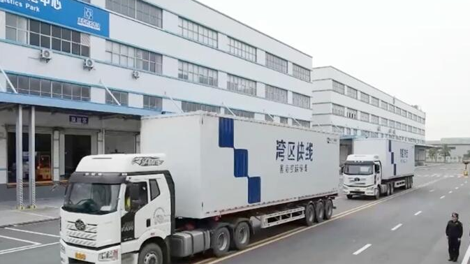 粤港澳大湾区出海再添新通道 “产业+物流”带动“湾区制造”通达世界