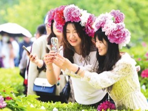 牡丹花开 绽放中华之美（深观察）