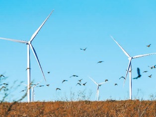 中拉加强绿色能源合作（环球热点）