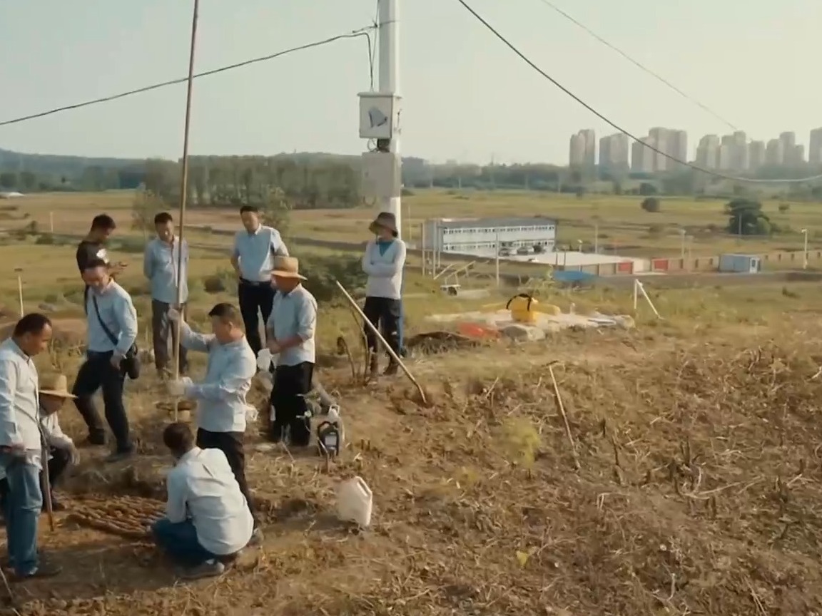 武王墩墓的营造难度、考古价值如何？专访揭秘→