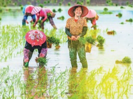 谷雨：雨生百谷，万物逢时（二十四节气里的中医养生之道）