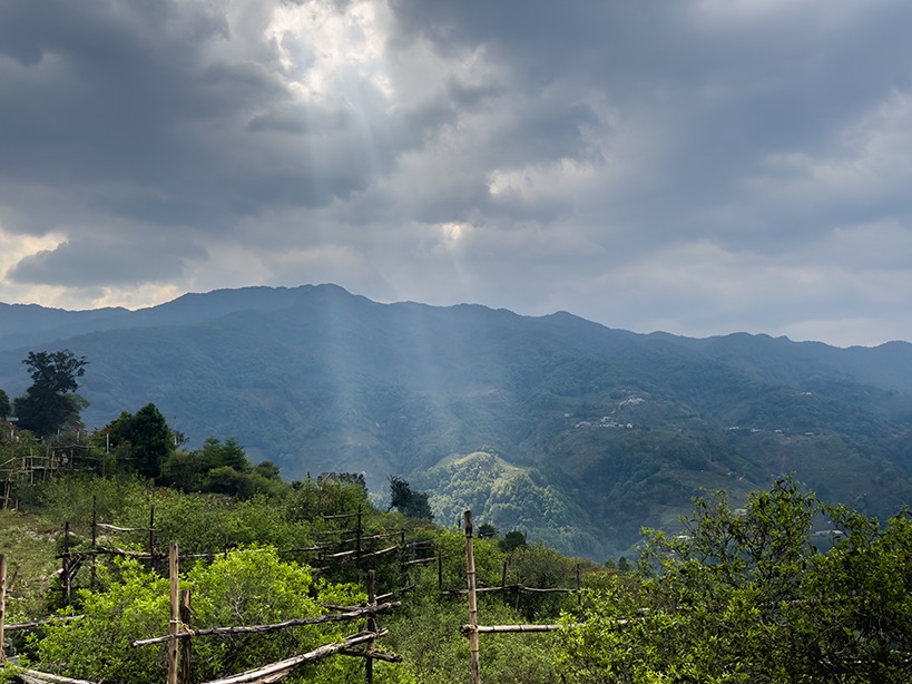 万千气象看云南｜延时摄影看“丁达尔效应”下的临沧茶山