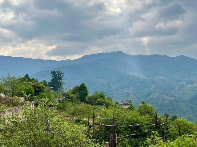 万千气象看云南丨来“天下茶仓”，品一盏古韵清茶