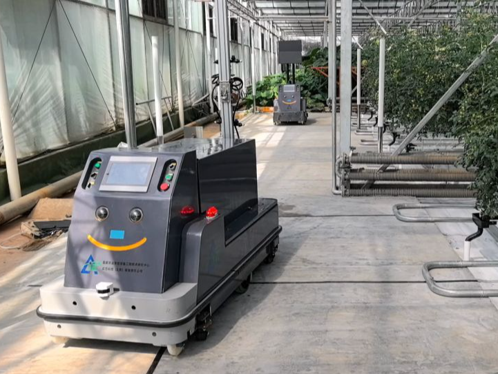 新种子、新技术、新装备……在“中国蔬菜之乡”看农业“未来式”