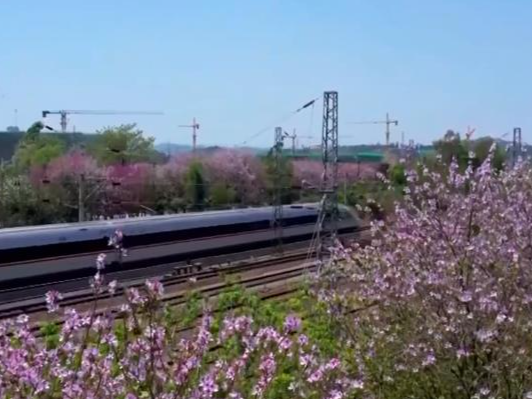 一季度多项交通运输指标创新高