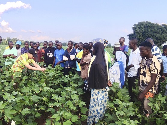 中国技术助力贝宁打造西非“白金之国”