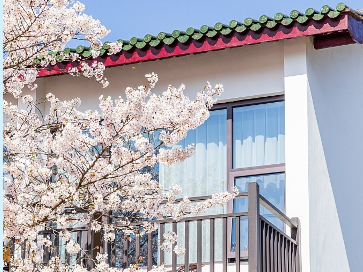 图说｜“五一”假期预定火热，文旅市场高位运行