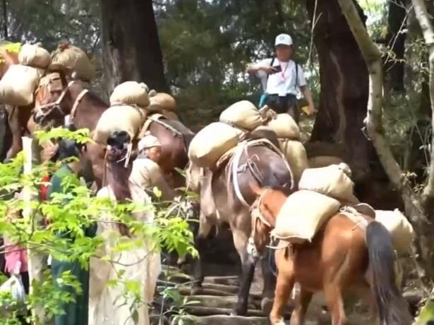 侗族摔跤、蜀道游、高原“春日宴”…… 特色文旅让“小地方”赢得“大流量”