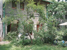 燕南园：一方空间，感受人文力量