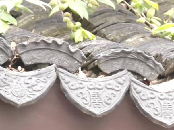 文化中国行｜苏州古城“细胞级”保护 让古建老宅“活”起来