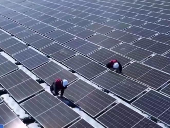 国际锐评丨世界为什么需要中国绿色产能？