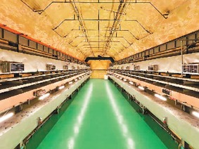 在2400米深地“追光”