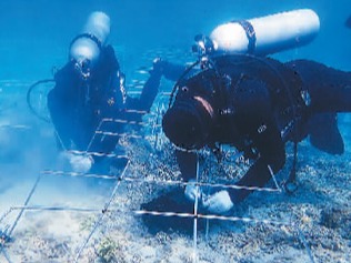 全球珊瑚礁白化问题亟需关注（环球热点）