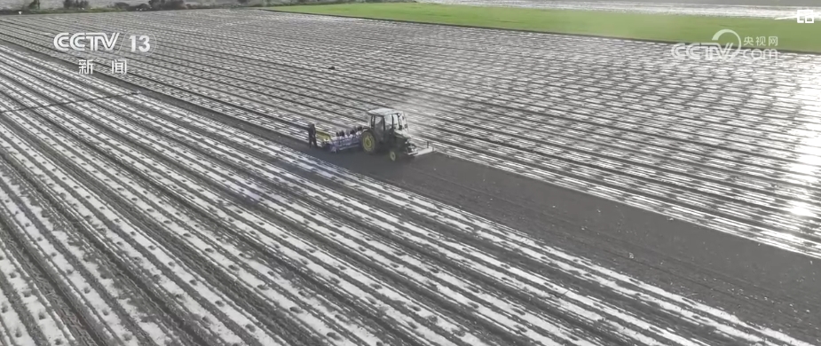 新疆全面使用无人驾驶北斗卫星导航精量播种机 棉花种植机械化率达100%