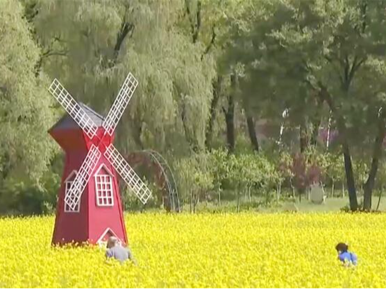 研学游、红色游、考古游……“旅游+”热效应凸显 新业态激发消费新动能