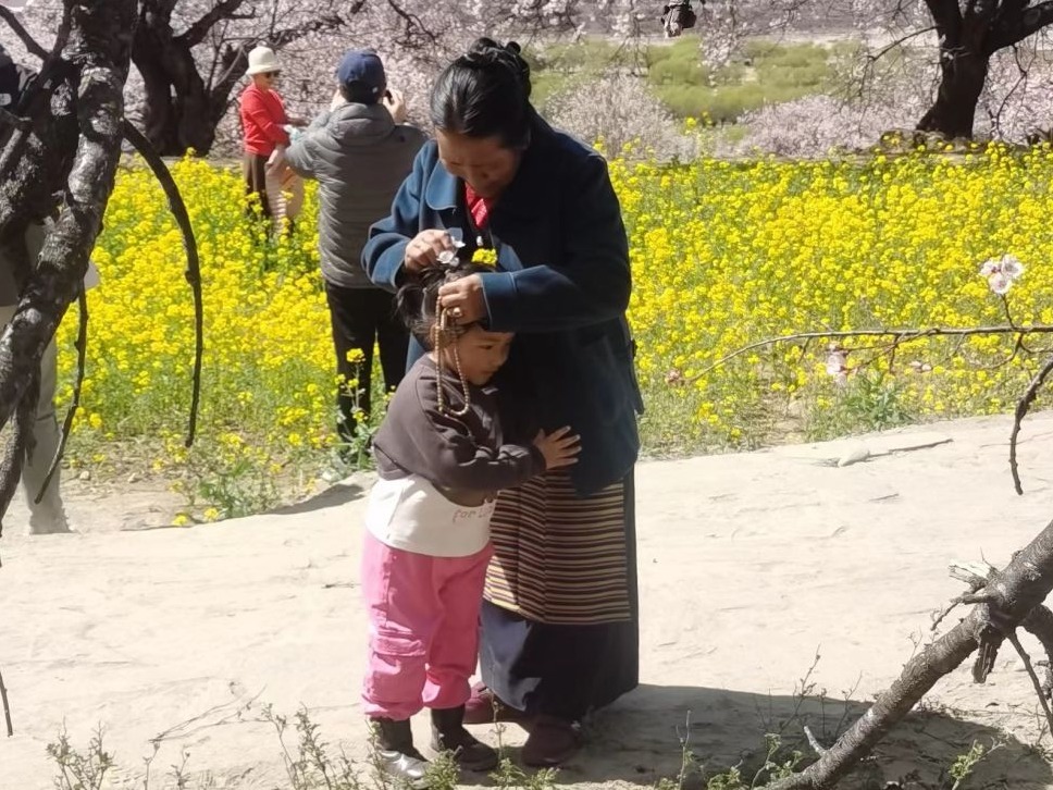 文旅新探｜西藏林芝桃花行