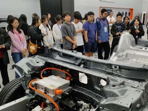 甬港两地青年共探“东方大港”发展活力