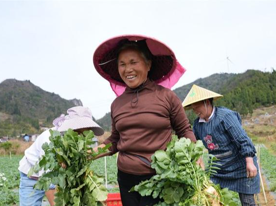 奋力在乡村振兴上开新局 绘就苗乡侗寨和美新画卷