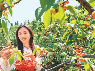 立夏：风暖昼长，万物并秀（二十四节气里的中医养生之道）