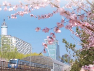 北京建成国家森林城市（深度观察）