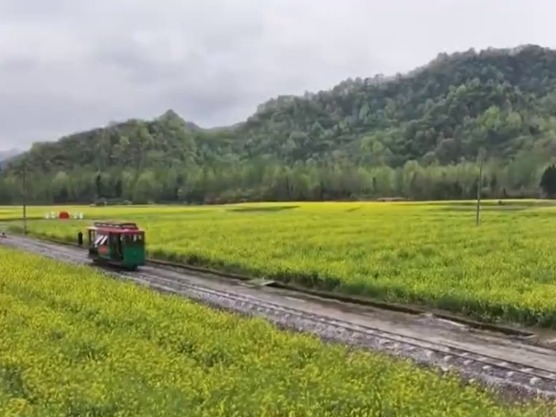 清明时节 共享春日好时光