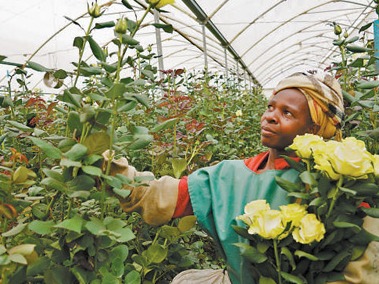 开展国际农业合作 共享农业发展机遇（镜头里的共建“一带一路”）