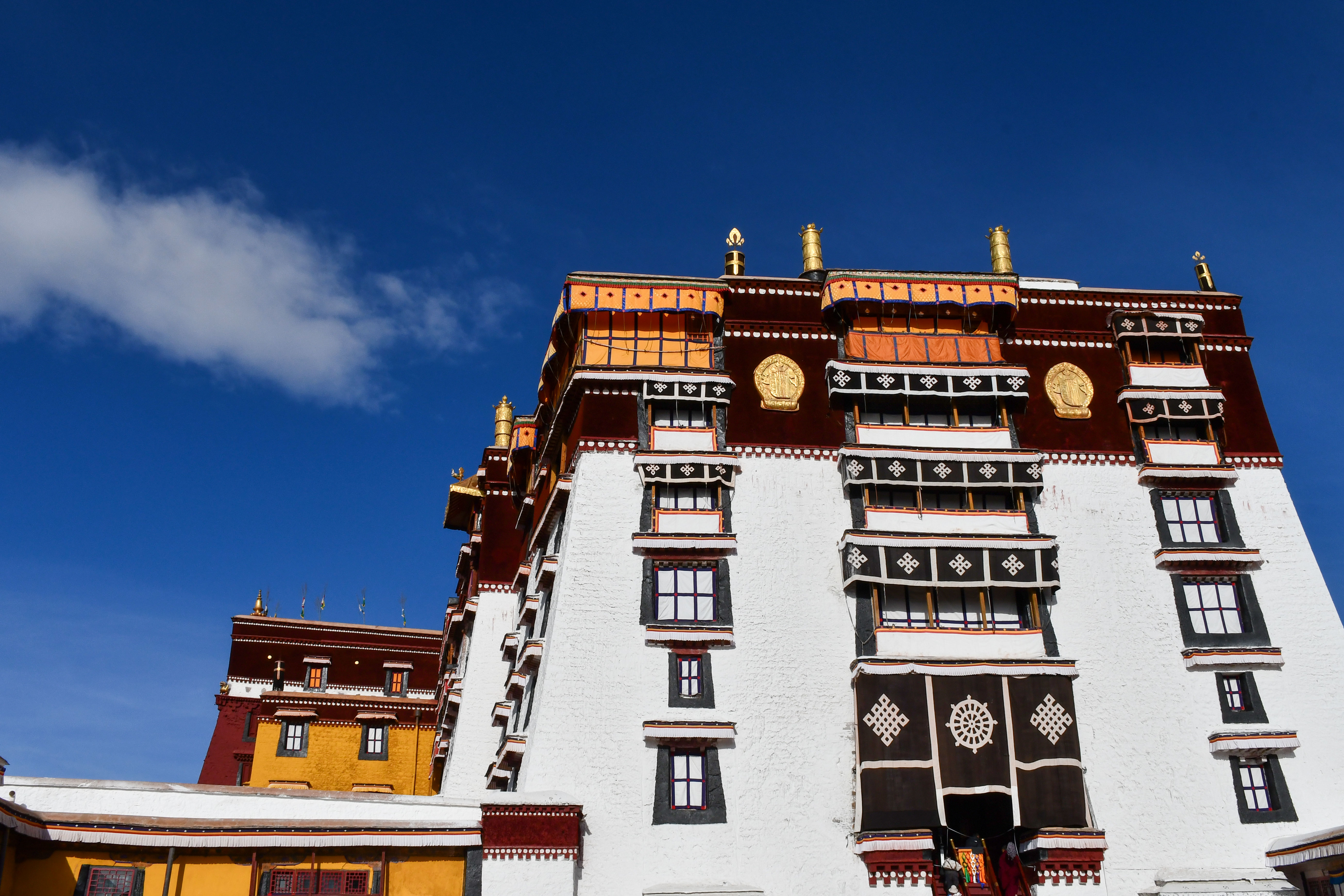 修缮·保护·研究,他们这样守护布达拉宫