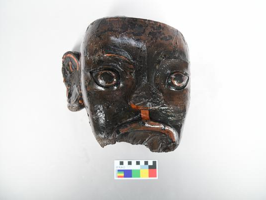 从武王墩的草木间，我们看到了什么