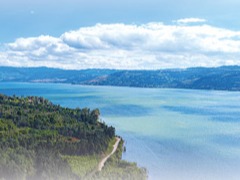 高原湖泊 水清鱼跃（探访）