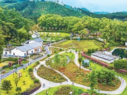 “一有假期，我就爱‘村游’”（走进乡土中国）