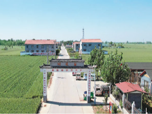 刘皮村的那些人那些事