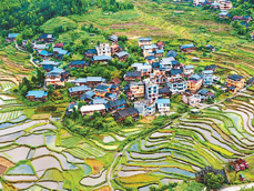 小满：万物初盈，养护心阳（二十四节气里的中医养生之道）