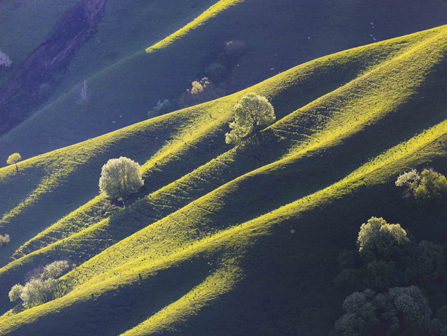 新疆那拉提草原：光影画卷醉游人