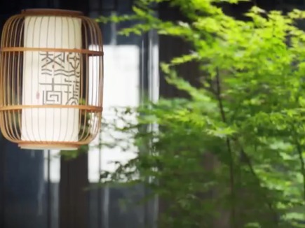 博物致知｜小镇“双博” 把世界装进水乡橱窗里