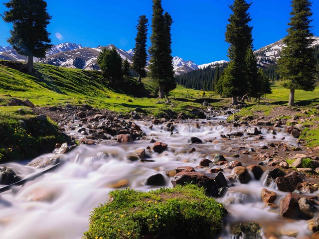 新疆新源：塞外初夏图鉴