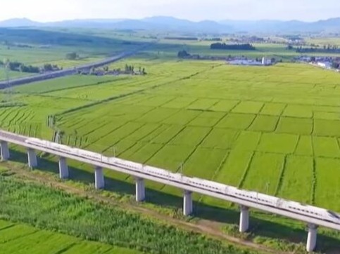 13.7亿人次、同比增22.9%……数据展现“流动的中国”涌动蓬勃活力